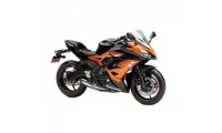 2017-2019 Kawasaki Ninja EX650 Verkleidung
