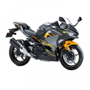 2018-2024 Kawasaki Ninja EX400 Verkleidung