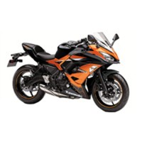 2017-2019 Kawasaki Ninja EX650 Verkleidung