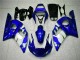1998-2002 Blau Yamaha YZF R6 Motorrad Verkleidung & Plastik 1998-2002 Blau Yamaha YZF R6 Motorrad Verkleidung & Plastik