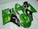 2000-2001 Grün Yamaha YZF R1 Motorrad Verkleidung 2000-2001 Grün Yamaha YZF R1 Motorrad Verkleidung
