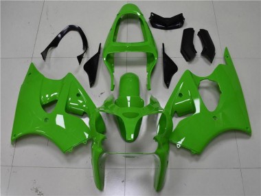 2000-2002 Grün Kawasaki ZX6R Motorrad Verkleidung