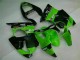 2000-2002 Grün Kawasaki ZX6R Motorrad Verkleidungen 2000-2002 Grün Kawasaki ZX6R Motorrad Verkleidungen