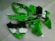 2000-2002 Grün Schwarz Kawasaki ZX6R Motor Verkleidung 2000-2002 Grün Schwarz Kawasaki ZX6R Motor Verkleidung