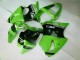 2000-2002 Grün Schwarz Kawasaki ZX6R Motorrad Vollverkleidung
