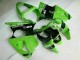 2000-2002 Grün Schwarz Kawasaki ZX6R Motorrad Vollverkleidung