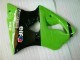 2000-2002 Grün Schwarz Kawasaki ZX6R Motorrad Vollverkleidung