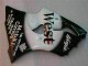 2000-2002 Schwarzer West Ninja Kawasaki ZX6R Motorrad Verkleidung
