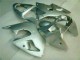 2000-2002 Silber Kawasaki ZX6R Motorrad Verkleidung 2000-2002 Silber Kawasaki ZX6R Motorrad Verkleidung