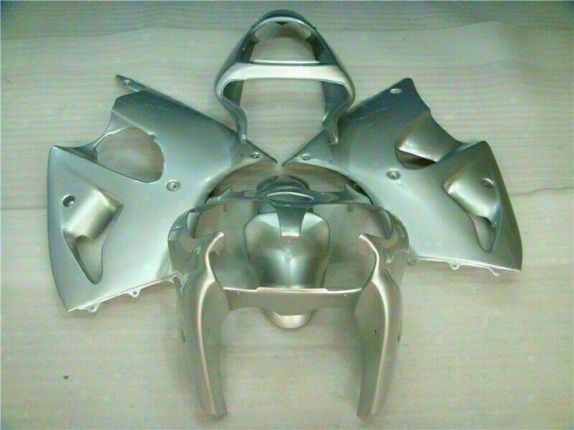 2000-2002 Silber Kawasaki ZX6R Motorrad Verkleidung 2000-2002 Silber Kawasaki ZX6R Motorrad Verkleidung