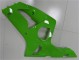 2003-2004 Grün Kawasaki ZX6R Motorrad Verkleidungen 2003-2004 Grün Kawasaki ZX6R Motorrad Verkleidungen