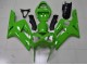 2003-2004 Grün Kawasaki ZX6R Motorrad Verkleidungen 2003-2004 Grün Kawasaki ZX6R Motorrad Verkleidungen