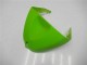 2005-2006 Grün Kawasaki ZX6R Motorrad Verkleidung 2005-2006 Grün Kawasaki ZX6R Motorrad Verkleidung