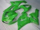 2005-2006 Grün Kawasaki ZX6R Motorrad Verkleidung & Plastik 2005-2006 Grün Kawasaki ZX6R Motorrad Verkleidung & Plastik