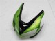 2005-2006 Grün Kawasaki ZX6R Motorrad Verkleidungen 2005-2006 Grün Kawasaki ZX6R Motorrad Verkleidungen