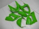 2005-2006 Grün Kawasaki ZX6R Motorrad Vollverkleidung