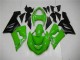 2005-2006 Grün Kawasaki ZX6R Motorrad Vollverkleidung