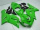 2005-2006 Grün Kawasaki ZX6R Motorrad Vollverkleidung & Plastik 2005-2006 Grün Kawasaki ZX6R Motorrad Vollverkleidung & Plastik