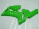 2005-2006 Grün Kawasaki ZX6R Motorrad Vollverkleidung & Plastik 2005-2006 Grün Kawasaki ZX6R Motorrad Vollverkleidung & Plastik