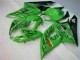 2005-2006 Grün Suzuki GSXR 1000 Motorrad Verkleidung 2005-2006 Grün Suzuki GSXR 1000 Motorrad Verkleidung