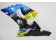 2005-2006 Hai Kawasaki ZX6R Motorrad Verkleidung 2005-2006 Hai Kawasaki ZX6R Motorrad Verkleidung