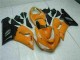 2005-2006 Orange Kawasaki ZX6R Motorrad Verkleidung