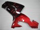 2006-2007 Rot Flamme Kawasaki ZX10R Motorrad Verkleidung 2006-2007 Rot Flamme Kawasaki ZX10R Motorrad Verkleidung