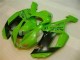 2007-2008 Grün Schwarzer Dunlop Kawasaki ZX6R Motorrad Verkleidung 2007-2008 Grün Schwarzer Dunlop Kawasaki ZX6R Motorrad Verkleidung