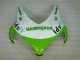 2008-2011 Grün Weiß Honda CBR1000RR Motorrad Verkleidung 2008-2011 Grün Weiß Honda CBR1000RR Motorrad Verkleidung