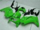 2008-2012 Grün Kawasaki EX250 Motorrad Verkleidung 2008-2012 Grün Kawasaki EX250 Motorrad Verkleidung