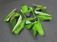 2008-2012 Grün Weiß Schwarz Ninja Kawasaki EX250 Motorrad Verkleidung
