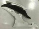 2008-2016 Weiß Yamaha YZF R6 Motorrad Verkleidungen 2008-2016 Weiß Yamaha YZF R6 Motorrad Verkleidungen