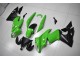 2009-2011 Grün Schwarz Kawasaki EX650 Motorrad Verkleidung