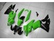 2009-2011 Grün Schwarz Kawasaki EX650 Motorrad Verkleidungen 2009-2011 Grün Schwarz Kawasaki EX650 Motorrad Verkleidungen
