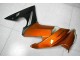 2009-2011 Orange Kawasaki EX650 Motorrad Verkleidung 2009-2011 Orange Kawasaki EX650 Motorrad Verkleidung