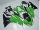 2009-2012 Grün Schwarz Kawasaki ZX6R Motorrad Vollverkleidung 2009-2012 Grün Schwarz Kawasaki ZX6R Motorrad Vollverkleidung
