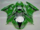 2009-2012 Grün Schwarzer LeoVince Kawasaki ZX6R Motorrad Verkleidung 2009-2012 Grün Schwarzer LeoVince Kawasaki ZX6R Motorrad Verkleidung