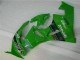 2009-2012 Grün Schwarzer LeoVince Kawasaki ZX6R Motorrad Verkleidung 2009-2012 Grün Schwarzer LeoVince Kawasaki ZX6R Motorrad Verkleidung