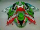 2009-2012 Rot Grün Motocard Kawasaki ZX6R Motorrad Verkleidung 2009-2012 Rot Grün Motocard Kawasaki ZX6R Motorrad Verkleidung