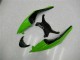 2009-2012 Schwarz Grün Rot Kawasaki ZX6R Motorrad Verkleidung 2009-2012 Schwarz Grün Rot Kawasaki ZX6R Motorrad Verkleidung