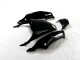 2012-2021 Schwarz Grün Kawasaki ZX14R ZZR1400 Motorrad Verkleidung 2012-2021 Schwarz Grün Kawasaki ZX14R ZZR1400 Motorrad Verkleidung