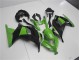 2013-2016 Grün Schwarz Kawasaki EX300 Motorrad Verkleidungen 2013-2016 Grün Schwarz Kawasaki EX300 Motorrad Verkleidungen