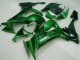 Kawasaki ZX10R Motorrad Verkleidung 2008-2010 - Glanzendes Schwarz Grun Flamme