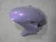 Honda CBR1000RR Motorrad Verkleidung 2004-2005 - Chameleon Grau Dazz Perl Lila