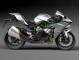 Kawasaki Ninja H2 Motorrad Verkleidung 2015-2022 - Silber