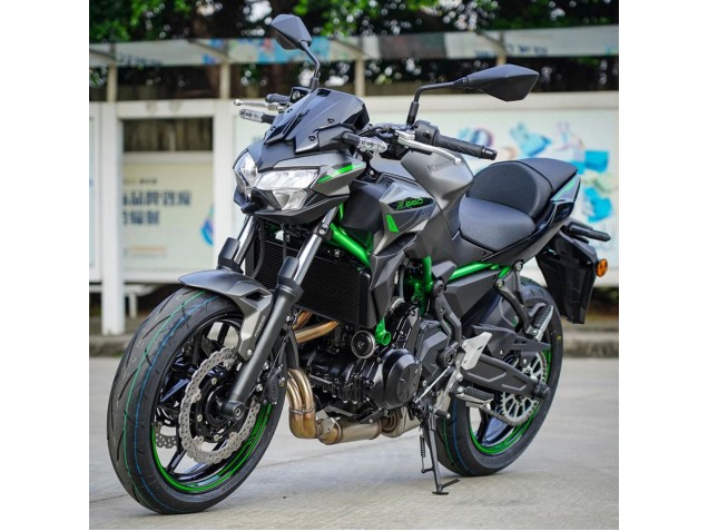 Kawasaki Ninja Z650 Motorrad Verkleidung 2020-2025 - Schwarz Grun