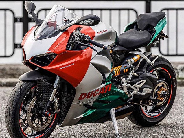 Ducati Panigale V2 Motorrad Verkleidung 2020-2024 - Silber Rot Grun