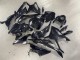 BMW S1000RR Motorrad Verkleidung 2023-2024 - Glanzendes Schwarz Carbonfaser