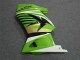 Kawasaki EX250 Motorrad Verkleidung 2008-2012 - Grun Weiss Schwarz