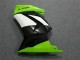 Kawasaki EX250 Motorrad Verkleidung 2008-2012 - Grun Weiss Schwarz